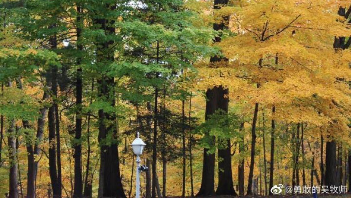 稍早前头条推广定制化升级您的获客系统运营模式全解:平台、代理与终端的连接,业务自助下单平台在线：新型数字化服务平台引领消费变革新趋势